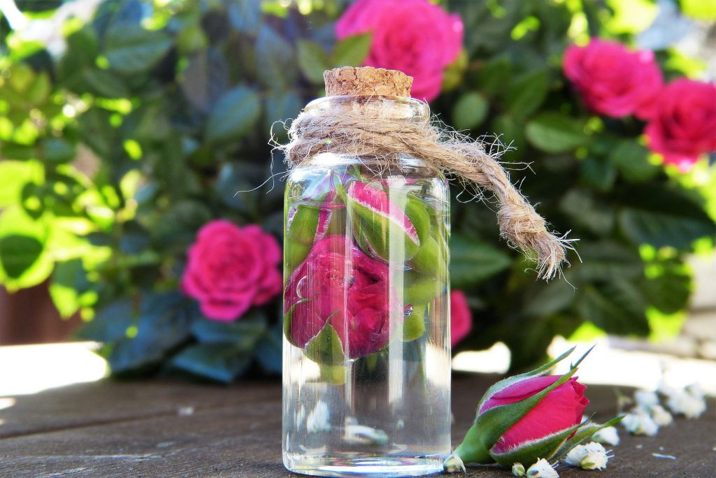 How you can use rose water as a toner for your healthy skin.