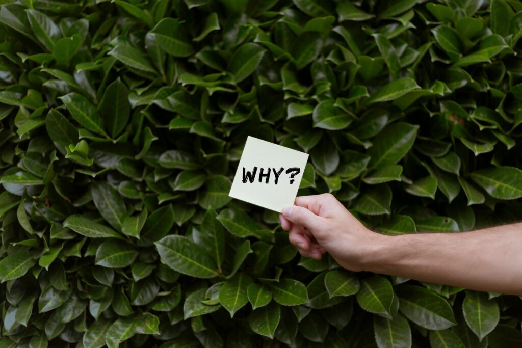 Successful Small Business Ideas
